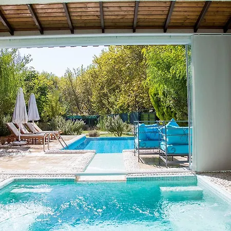 Marvelous Seaview Lemon 卡尔坎