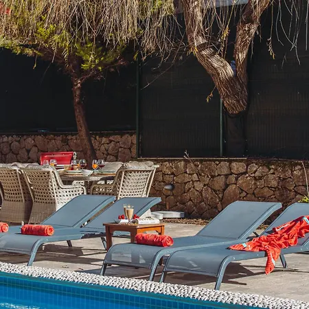 Marvelous Seaview Lemon *