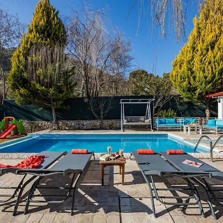 Marvelous Seaview Lemon *