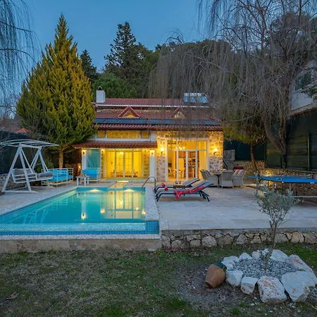 Marvelous Seaview Lemon