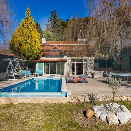 Marvelous Seaview Lemon