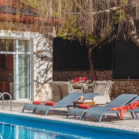 Marvelous Seaview Lemon * 卡尔坎